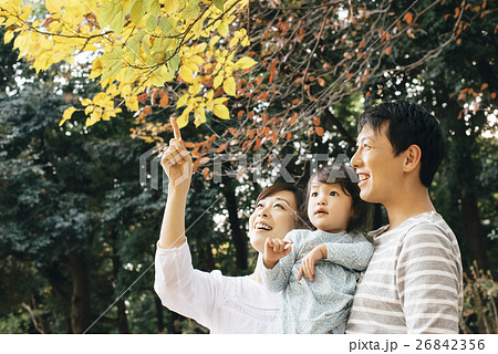 ファミリー 26842356