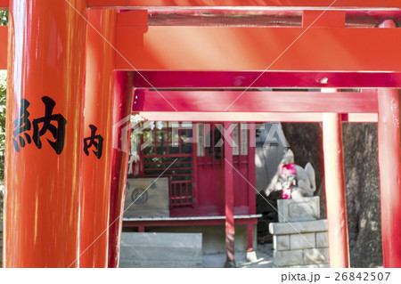 来宮神社　稲荷社 26842507