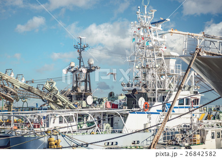 漁港の風景 26842582