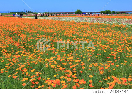 ポピー・ハッピースクエア 鴻巣 ポピー・ハッピースクエア 鴻巣 26843144