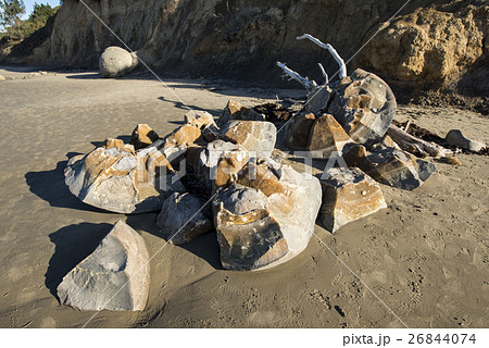 モエラキボルダーMoeraki Boulders South Island New Zealand モエラキボルダーMoeraki Boulders South Island New Zealand 26844074