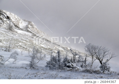 雪山 雪山 26844367