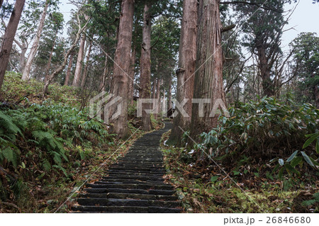 晩秋の羽黒山杉並木 晩秋の羽黒山杉並木 26846680