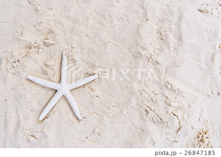 Starfish Sand Summer Holiday Vacation Beach Concept 26847185