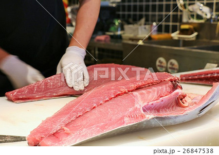 キハダマグロを捌く 26847538