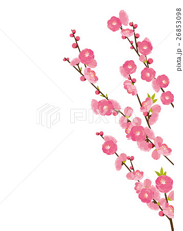 桃の花のイラスト素材 26853098 Pixta