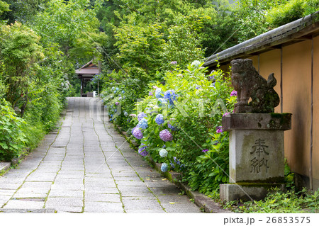 大豊神社 大豊神社 26853575