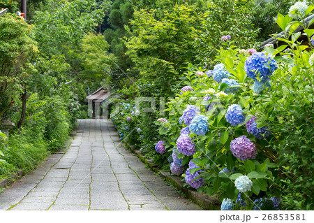 大豊神社 26853581