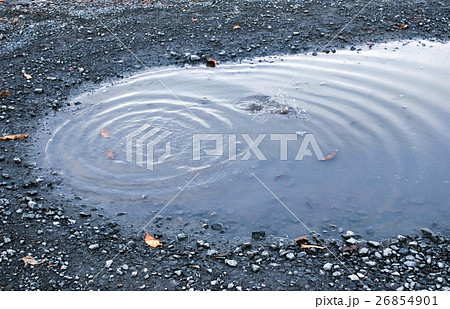 水たまり波紋の写真素材