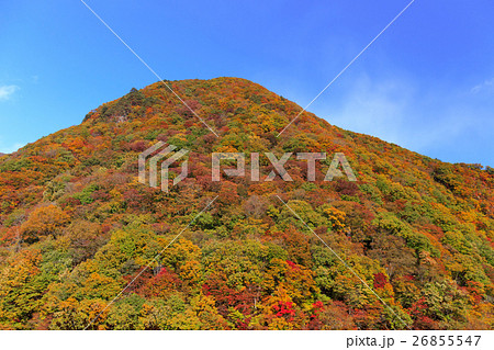 栃木県日光市　栗山地域日陰の紅葉（11月） 26855547