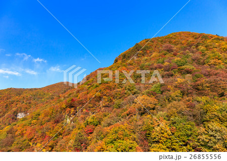 栃木県日光市　栗山地域日陰の紅葉　唐滝（11月） 26855556