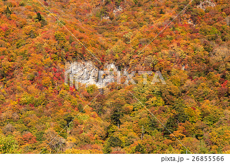 栃木県日光市　栗山地域日陰の紅葉　唐滝（11月） 26855566