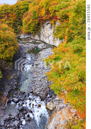 栃木県日光市 栗山地域からの鬼怒川の紅葉(11月) 栃木県日光市 栗山地域からの鬼怒川の紅葉(11月) 26855580