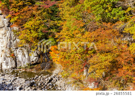 栃木県日光市　栗山地域からの鬼怒川の紅葉（11月） 26855581