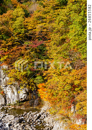 栃木県日光市 栗山地域からの鬼怒川の紅葉(11月) 栃木県日光市 栗山地域からの鬼怒川の紅葉(11月) 26855582
