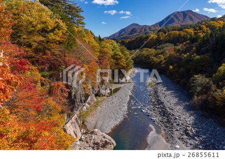 栃木県日光市　上栗山より鬼怒川の紅葉（11月） 26855611