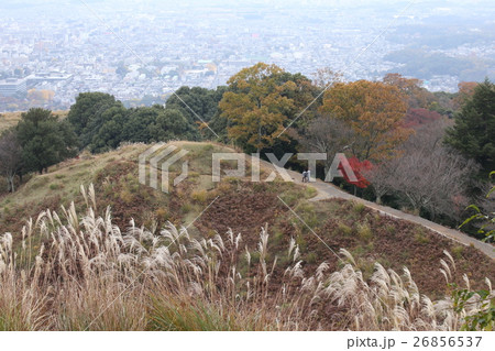 若草山 若草山 26856537