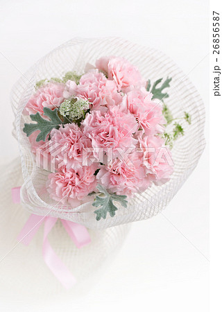 淡いピンクのカーネーション花束の写真素材