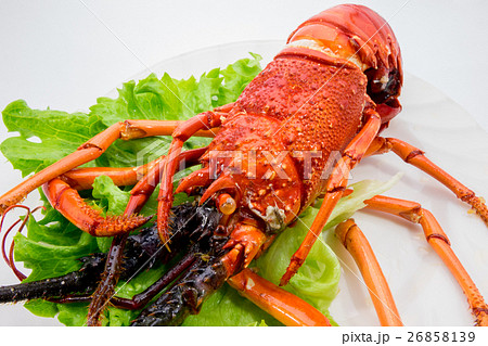 伊勢海老の丸揚げ 伊勢海老の丸揚げ 26858139