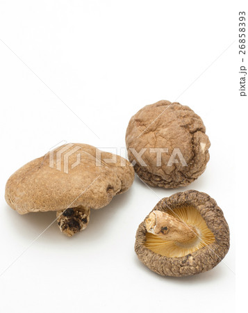 乾燥シイタケ 26858393