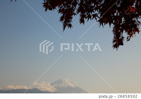 紅葉影の富士山 26858502