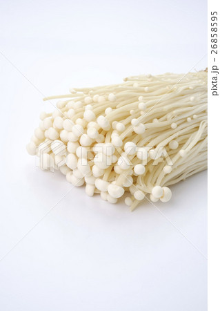 エニキタケ　エノキ茸　茸　 26858595