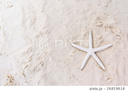 Starfish Sand Summer Holiday Vacation Beach Concept Starfish Sand Summer Holiday Vacation Beach Concept 26859618