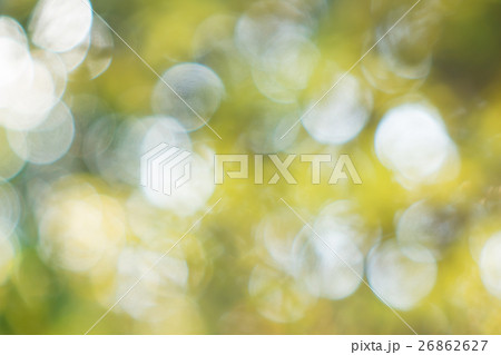 冬の森の中の黄色の花のボケ素材 冬の森の中の黄色の花のボケ素材 26862627