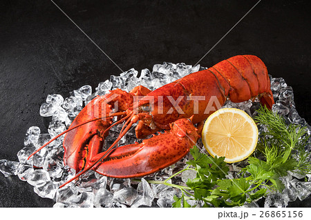 最高級ロブスター High-quality lobster 最高級ロブスター High-quality lobster 26865156