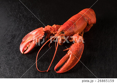 最高級ロブスター High-quality lobster 最高級ロブスター High-quality lobster 26865159