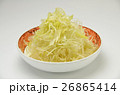 白髪ねぎ 26865414