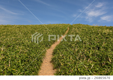 遠足に行きたくなる景色 遠足に行きたくなる景色 26865670