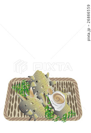 サザエ 26866559