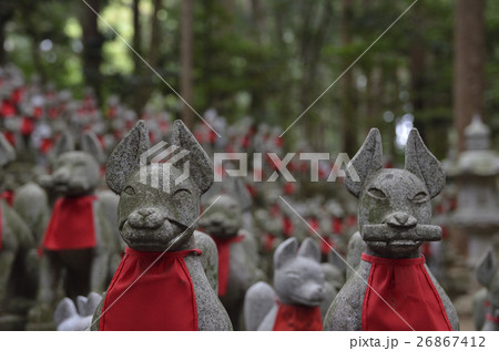 霊狐塚 霊狐塚 26867412