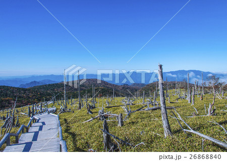 快晴の大台ケ原 26868840