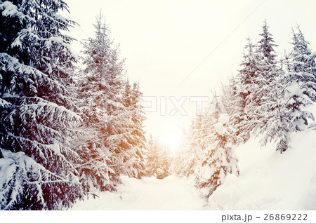 Winter landscape Winter landscape 26869222
