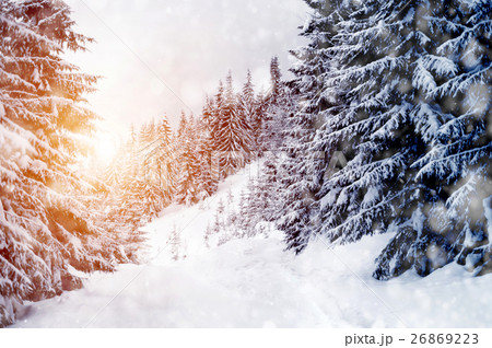 Winter landscape Winter landscape 26869223