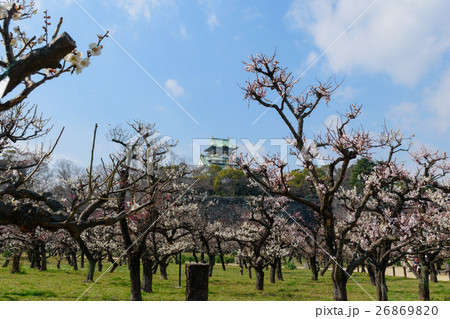 大阪城天守閣と梅 26869820