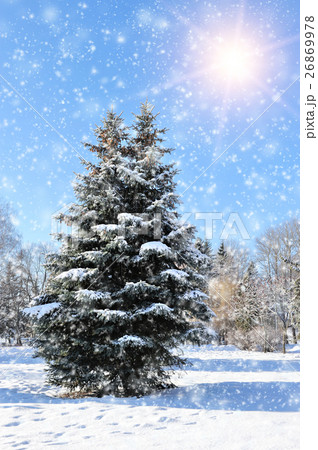 Winter park Winter park 26869978