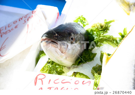 Ricciola in market 26870440