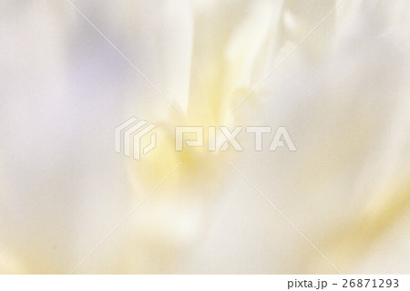 Colorful flowers in soft color and blur style for 26871293