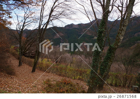 城峯公園からの冬の山並み 26871568