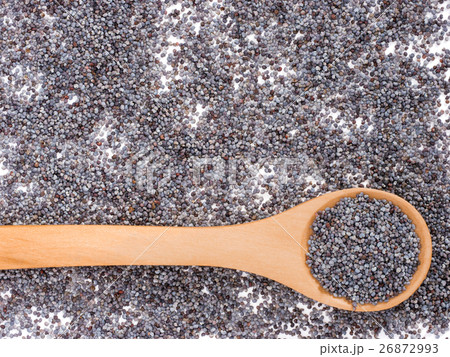 poppy seeds background 26872993