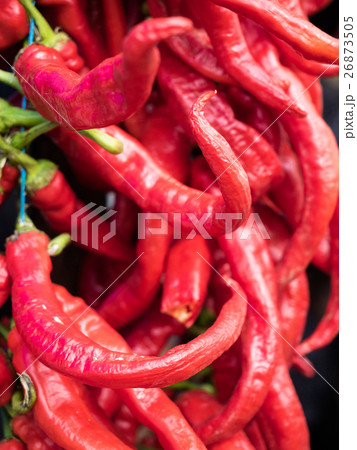 Red chili peppers closeup view. Red chili peppers closeup view. 26873505