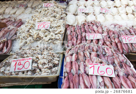 Fresh squid Fresh squid 26876681