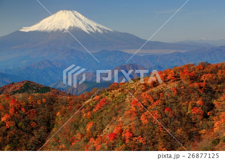 丹沢 紅葉の鍋割山と富士山の写真素材