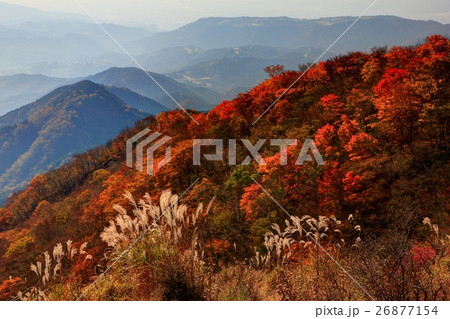 丹沢 鍋割山の紅葉と小田原方面の眺望の写真素材