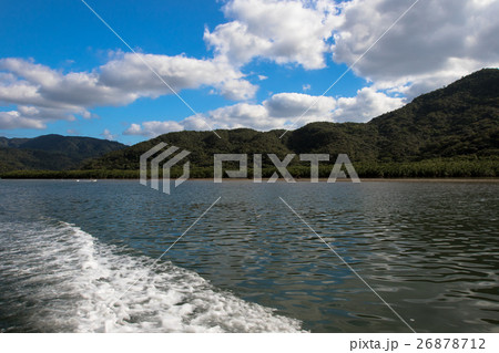 西表島ナーラ川マングローブ 26878712