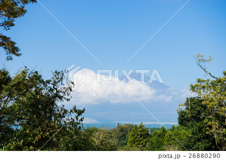 木の間から見える富士山 26880290