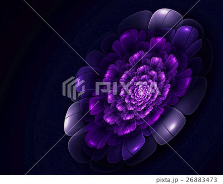 Abstract fractal flower Abstract fractal flower 26883473